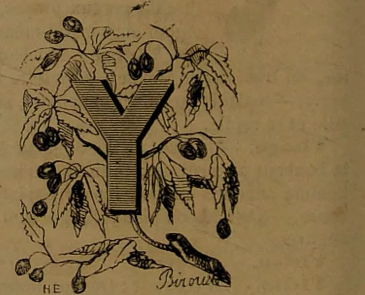 An illustration from L'art d'expliquer les songes, ou, Signification détaillé de tous les songes, visions, rêves, apparitions : précédé de l'histoire des rêves célèbres dont le sens s'est réalisé / Par Johannès Trismégiste [i.e. Lorambert]. Orné des 130 figures., 1845, leaf 126