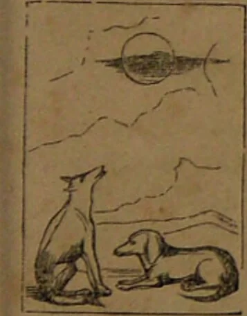 An illustration from L'art de tirer les cartes : révélations complètes sur les destinées au moyen des cartes et des tarots d'après les méthodes les plus certaines, suivis d'un jeu des patiences / par Johannès Trismégiste [i.e. Lorambert]. Orné de 150 figures., 1845, leaf 77
