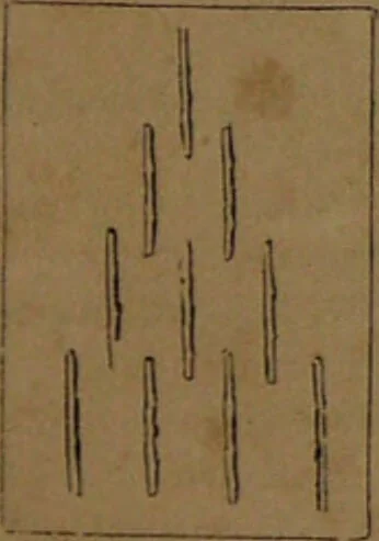 An illustration from L'art de tirer les cartes : révélations complètes sur les destinées au moyen des cartes et des tarots d'après les méthodes les plus certaines, suivis d'un jeu des patiences / par Johannès Trismégiste [i.e. Lorambert]. Orné de 150 figures., 1845, leaf 89