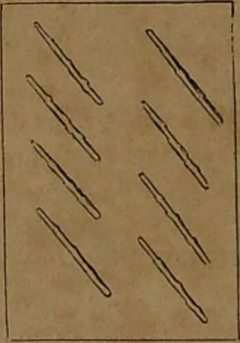 An illustration from L'art de tirer les cartes : révélations complètes sur les destinées au moyen des cartes et des tarots d'après les méthodes les plus certaines, suivis d'un jeu des patiences / par Johannès Trismégiste [i.e. Lorambert]. Orné de 150 figures., 1845, leaf 90