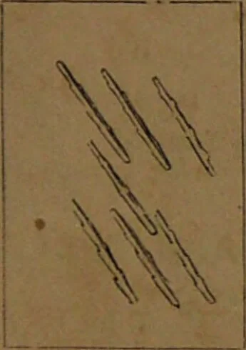 An illustration from L'art de tirer les cartes : révélations complètes sur les destinées au moyen des cartes et des tarots d'après les méthodes les plus certaines, suivis d'un jeu des patiences / par Johannès Trismégiste [i.e. Lorambert]. Orné de 150 figures., 1845, leaf 91
