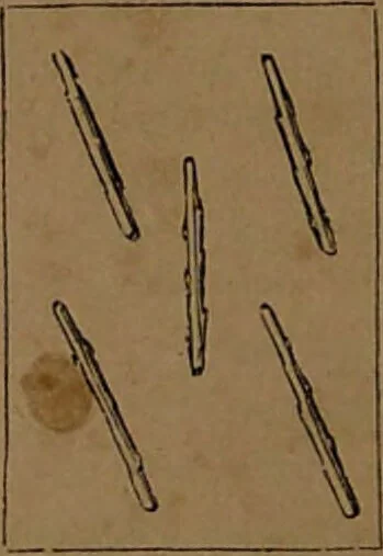 An illustration from L'art de tirer les cartes : révélations complètes sur les destinées au moyen des cartes et des tarots d'après les méthodes les plus certaines, suivis d'un jeu des patiences / par Johannès Trismégiste [i.e. Lorambert]. Orné de 150 figures., 1845, leaf 92