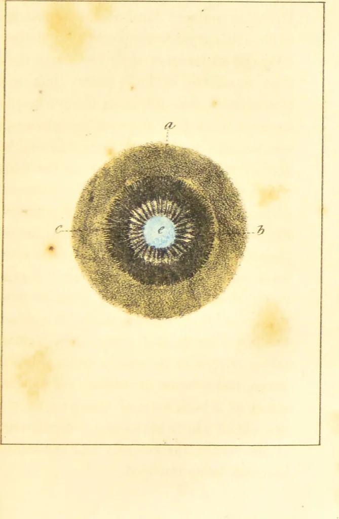 An illustration from A familiar treatise on the five senses : being an account of the conformation and functions of the eye, ear, nose, tongue, and skin ... / by Charles Bell., 1841, leaf 61