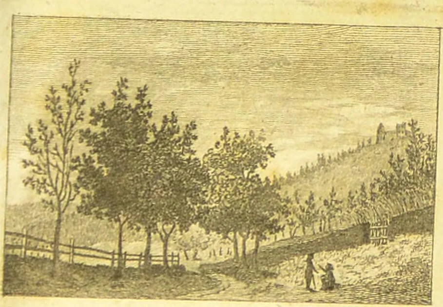 An illustration from Deinach : Luft, Lage, Vergnügungen, Bequemlichkeiten und Vortheile für die Gesundheit, die ein Aufenthalt bey diesem Brunnen gewähren kan. / [Johann Georg Zahn]., 1789, leaf 3