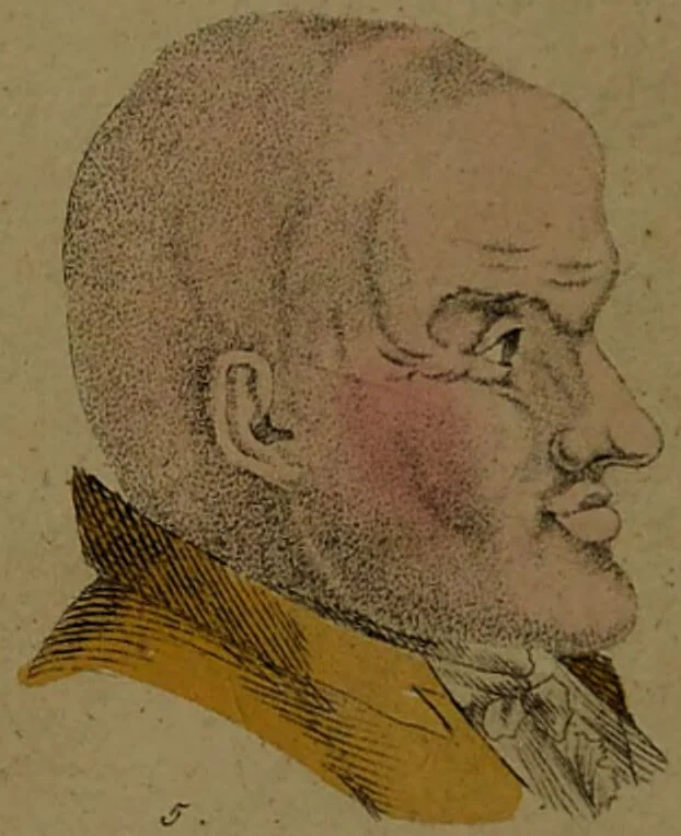 An illustration from Physiognomisches Taschenbuch nach Lavater's Grundsätzen, oder: die Kunst die Männer aus ihren Gesichtszügen zu erkennen. Aus dem Französischen übersetzt. Mit drei und dreissig illuminirten Kupfern., 1813, leaf 44