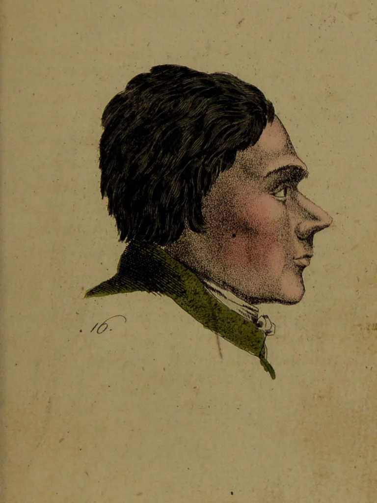 An illustration from Physiognomisches Taschenbuch nach Lavater's Grundsätzen, oder: die Kunst die Männer aus ihren Gesichtszügen zu erkennen. Aus dem Französischen übersetzt. Mit drei und dreissig illuminirten Kupfern., 1813, leaf 77
