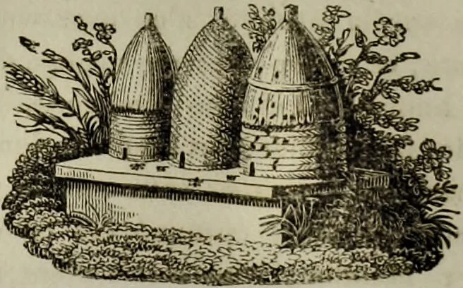 An illustration from Le Lavater moral., 1820, leaf 160