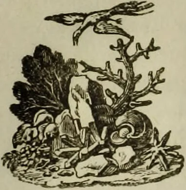 An illustration from Le Lavater moral., 1820, leaf 217