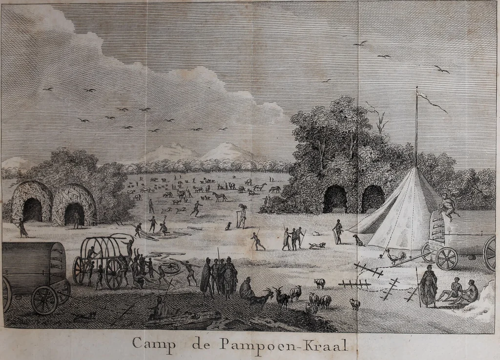 An illustration from Voyage de M. le Vaillant dans l'intérieur de l'Afrique par le Cap de Bonne Espérance, dans les années 1780 ... [-]85 / [François Le Vaillant]., 1790, leaf 211