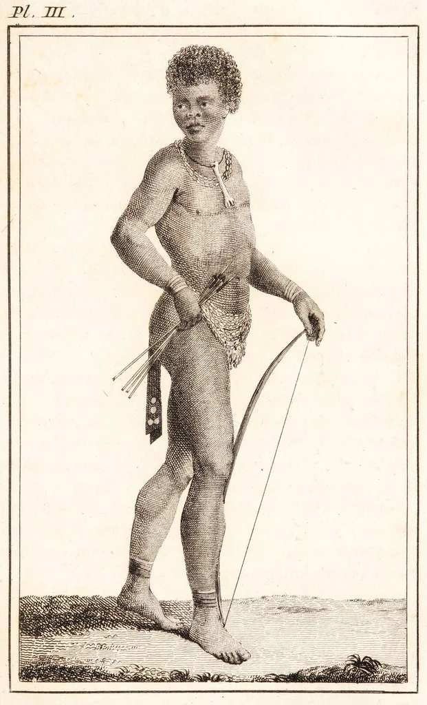 An illustration from Voyage de M. le Vaillant dans l'intérieur de l'Afrique par le Cap de Bonne Espérance, dans les années 1780 ... [-]85 / [François Le Vaillant]., 1790, leaf 231