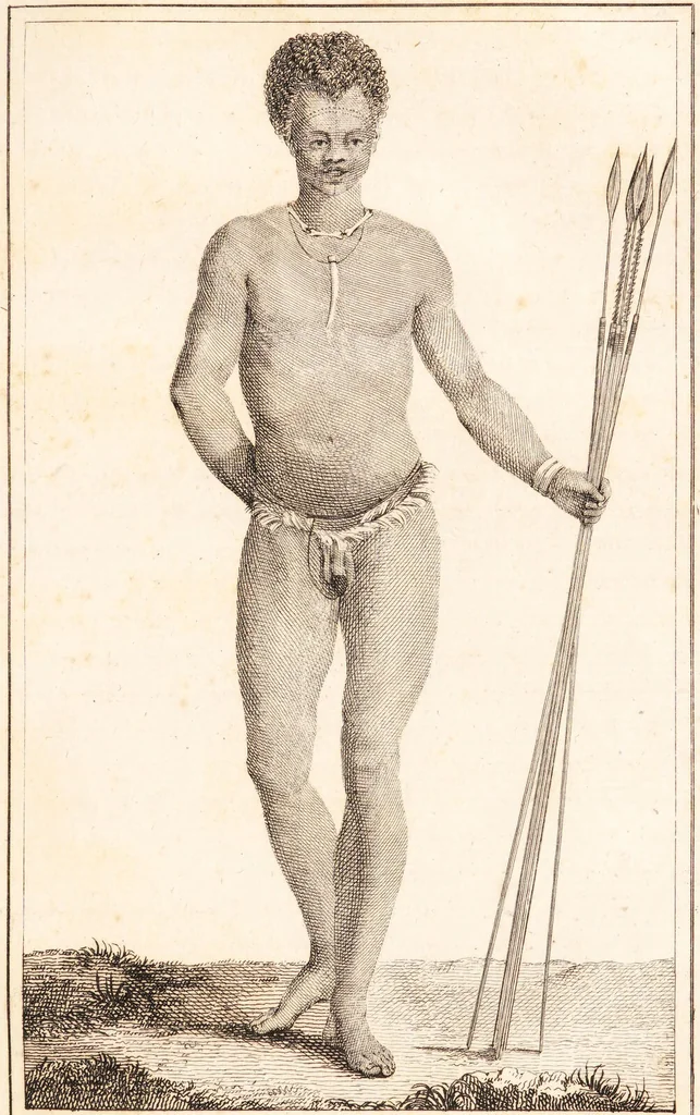 An illustration from Voyage de M. le Vaillant dans l'intérieur de l'Afrique par le Cap de Bonne Espérance, dans les années 1780 ... [-]85 / [François Le Vaillant]., 1790, leaf 341