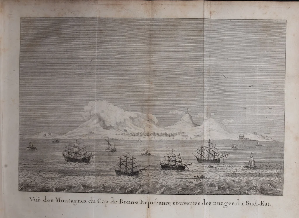 An illustration from Voyage de M. le Vaillant dans l'intérieur de l'Afrique par le Cap de Bonne Espérance, dans les années 1780 ... [-]85 / [François Le Vaillant]., 1790, leaf 35