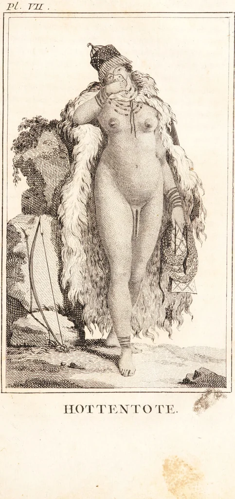 An illustration from Voyage de M. le Vaillant dans l'intérieur de l'Afrique par le Cap de Bonne Espérance, dans les années 1780 ... [-]85 / [François Le Vaillant]., 1790, leaf 411