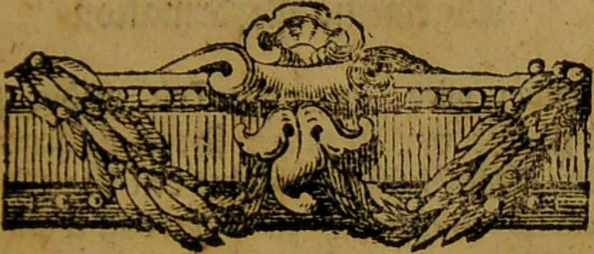 An illustration from Allgemeine und general Reformation der gantzen weiten Welt. : Beneben der Fama fraternitatis, dess löblichen Ordens des Rosencreutzes, an alle Gelehrte und häupter Europä geschrieben. Jetzo öffentlich in Druck verfertiget, und allen trewen Hertzen communiciret worden. Gedruckt zuerst zu Cassel, durch Wilhelm Wessell, anno M. DC. XIV. Der äussersten Seltenheit wegen wieder aufgelegt, und mit einem Anhange verschiedener dahin gehörigen Schrifften vermehret., 1681, leaf 13