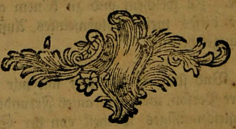 An illustration from Allgemeine und general Reformation der gantzen weiten Welt. : Beneben der Fama fraternitatis, dess löblichen Ordens des Rosencreutzes, an alle Gelehrte und häupter Europä geschrieben. Jetzo öffentlich in Druck verfertiget, und allen trewen Hertzen communiciret worden. Gedruckt zuerst zu Cassel, durch Wilhelm Wessell, anno M. DC. XIV. Der äussersten Seltenheit wegen wieder aufgelegt, und mit einem Anhange verschiedener dahin gehörigen Schrifften vermehret., 1681, leaf 244