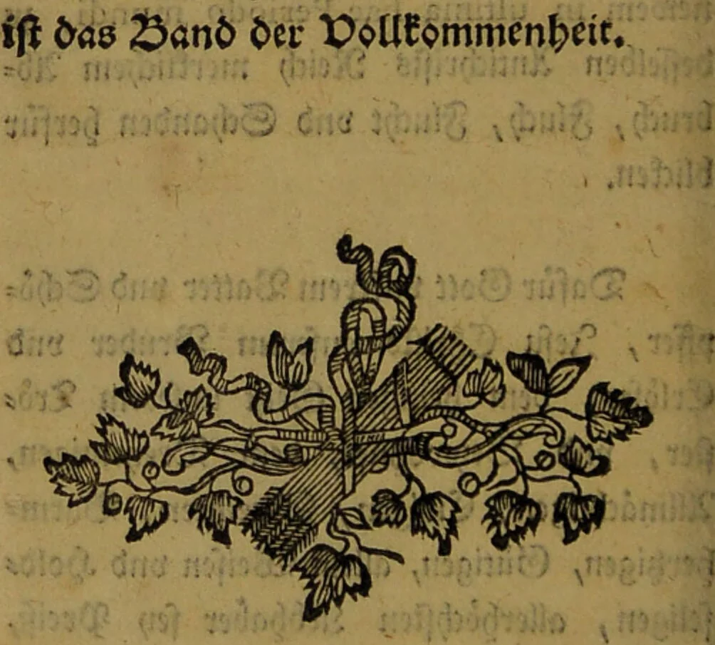 An illustration from Allgemeine und general Reformation der gantzen weiten Welt. : Beneben der Fama fraternitatis, dess löblichen Ordens des Rosencreutzes, an alle Gelehrte und häupter Europä geschrieben. Jetzo öffentlich in Druck verfertiget, und allen trewen Hertzen communiciret worden. Gedruckt zuerst zu Cassel, durch Wilhelm Wessell, anno M. DC. XIV. Der äussersten Seltenheit wegen wieder aufgelegt, und mit einem Anhange verschiedener dahin gehörigen Schrifften vermehret., 1681, leaf 384