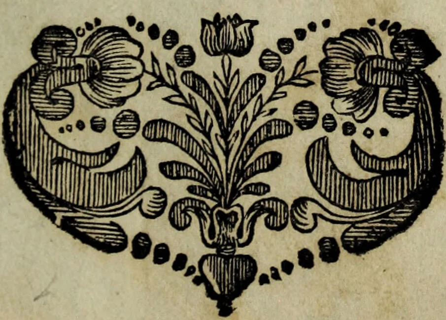 An illustration from Blumen und Insecten-Buch, darinnen auf das fleissigsten nicht allein die Blumen mit ihren Blättern nach den Leben ins Kupffer vor Augen gestellet; sondern auch jede Blume nach ihren eigentlichen Nahmen genennet, etc / [Anon]., 1790, leaf 5