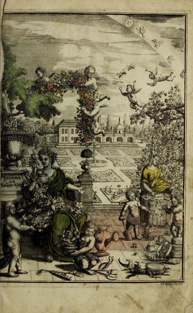 An illustration from Blumen und Insecten-Buch, darinnen auf das fleissigsten nicht allein die Blumen mit ihren Blättern nach den Leben ins Kupffer vor Augen gestellet; sondern auch jede Blume nach ihren eigentlichen Nahmen genennet, etc / [Anon]., 1790, leaf 7
