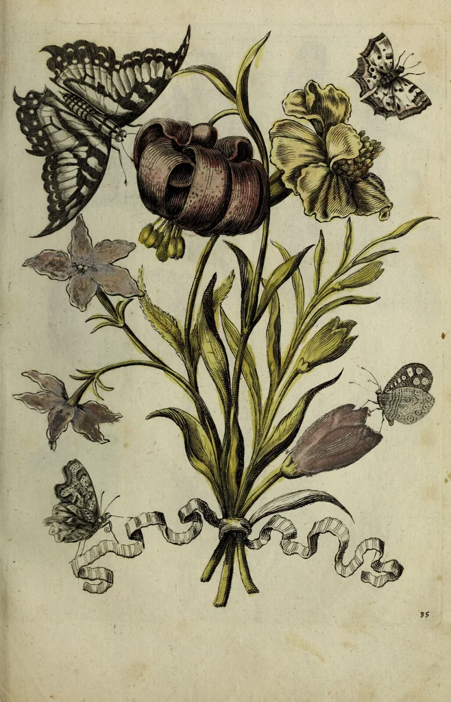 An illustration from Blumen und Insecten-Buch, darinnen auf das fleissigsten nicht allein die Blumen mit ihren Blättern nach den Leben ins Kupffer vor Augen gestellet; sondern auch jede Blume nach ihren eigentlichen Nahmen genennet, etc / [Anon]., 1790, leaf 87