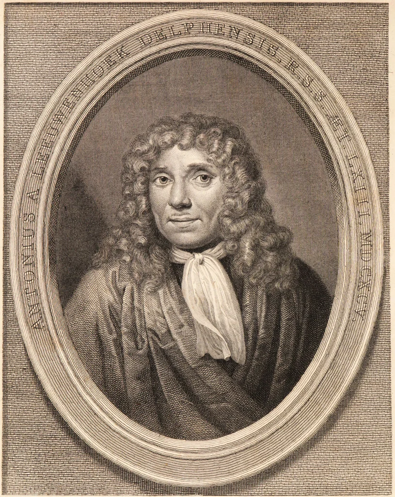 An illustration from The select works ... containing his microscopical discoveries ... / Translated from the Dutch and Latin editions ... by S. Hoole., 1798, leaf 8