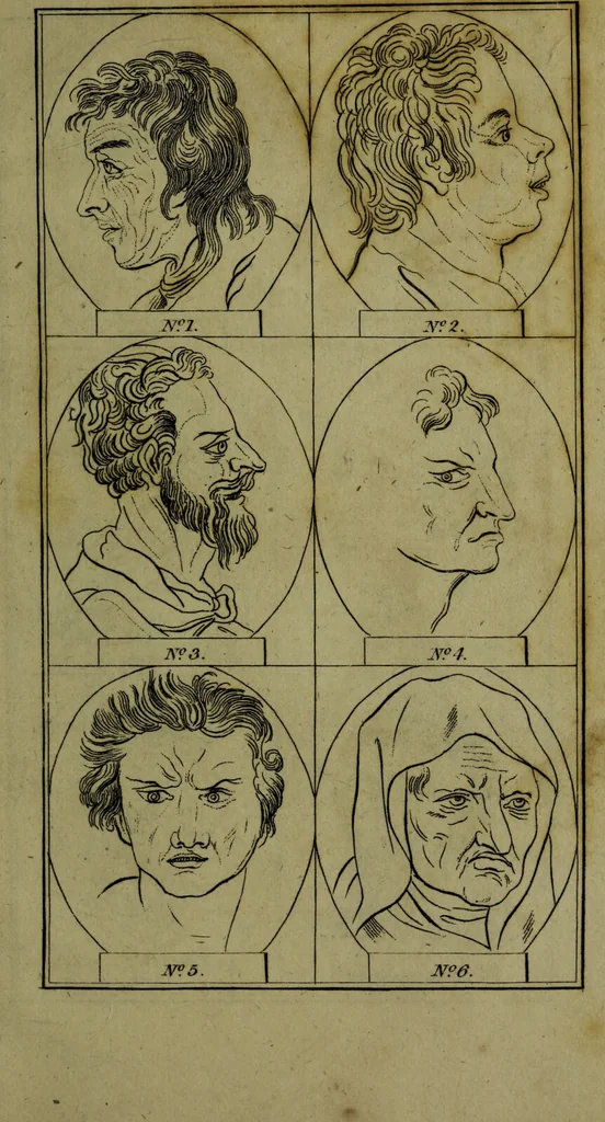 An illustration from Essays on physiognomy; for the promotion of the knowledge and the love of mankind / Written in the German language by J.C. Lavater. Abridged from Mr. Holcroft's translation., 1793, leaf 311