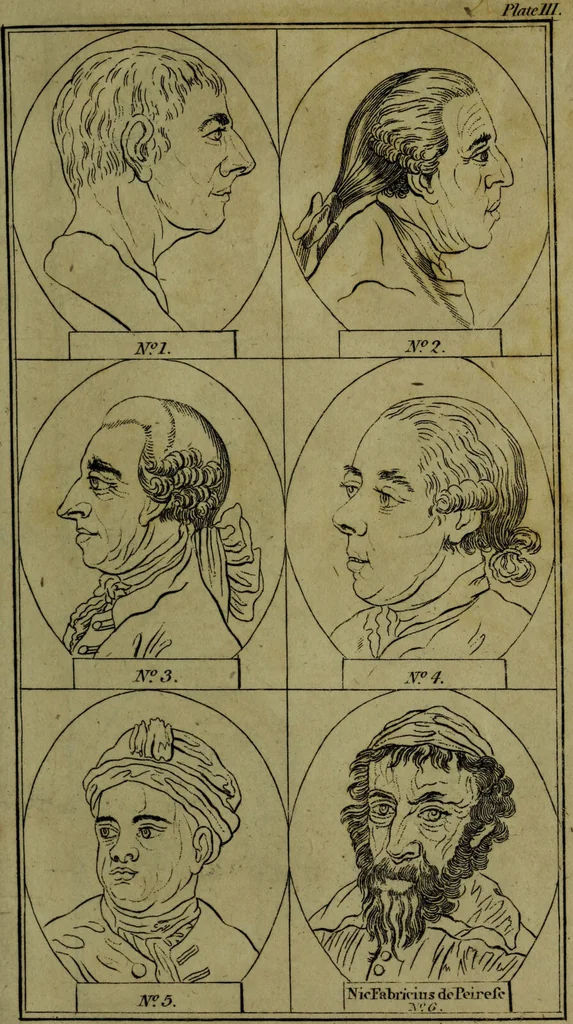 An illustration from Essays on physiognomy; for the promotion of the knowledge and the love of mankind / Written in the German language by J.C. Lavater. Abridged from Mr. Holcroft's translation., 1793, leaf 313