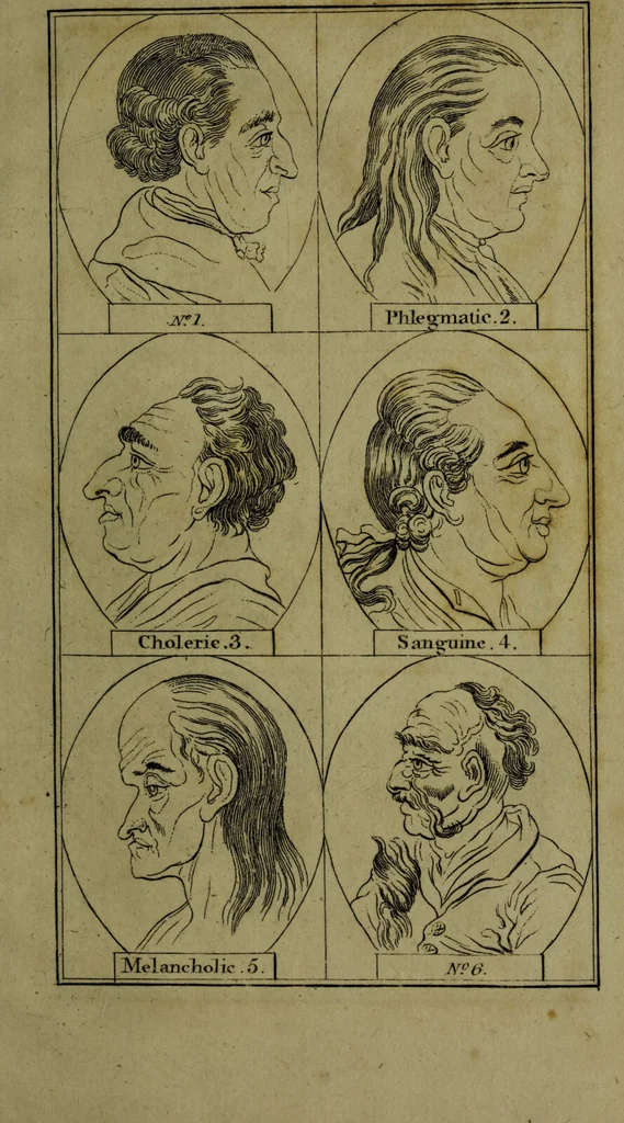 An illustration from Essays on physiognomy; for the promotion of the knowledge and the love of mankind / Written in the German language by J.C. Lavater. Abridged from Mr. Holcroft's translation., 1793, leaf 315