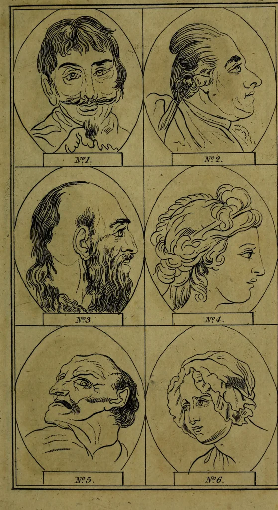 An illustration from Essays on physiognomy; for the promotion of the knowledge and the love of mankind / Written in the German language by J.C. Lavater. Abridged from Mr. Holcroft's translation., 1793, leaf 317