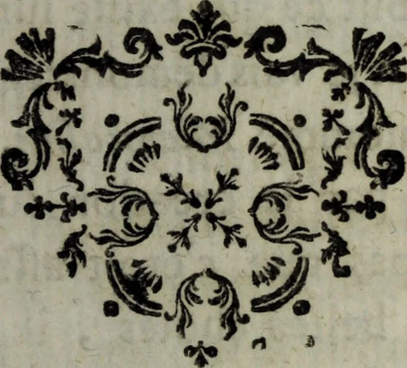 An illustration from Le diadème des sages, ou, démonstration de la nature inférieure; dans lequel on trouvera une analyse raisonnée du livre des Erreurs et de la vérité [de L.C. de Saint-Martin]; une dissertation étendue sur la médecine universelle, avec une allégorie sur cette matière traduite de l'original anglois: la fausseté du système du Sr. Meyer sur l'acidum pingue, ainsi qu'un éclaircissement sur la végétation ... / Par Phylantropos, Citoyen du Monde., 1781, leaf 41