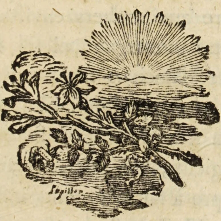 An illustration from Essais ou recueil de mémoires sur plusieurs points de minéralogie, avec la description des pièces déposées chez le Roi : la figure & l'analyse chimique de celles qui sont les plus intéressantes & la topographie de Moscow. Après un voyage fait au Nord / Par ordre du governement par M. Macquart., 1789, leaf 345