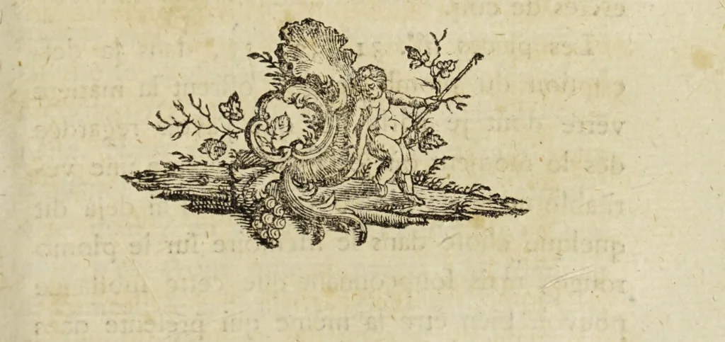 An illustration from Essais ou recueil de mémoires sur plusieurs points de minéralogie, avec la description des pièces déposées chez le Roi : la figure & l'analyse chimique de celles qui sont les plus intéressantes & la topographie de Moscow. Après un voyage fait au Nord / Par ordre du governement par M. Macquart., 1789, leaf 395