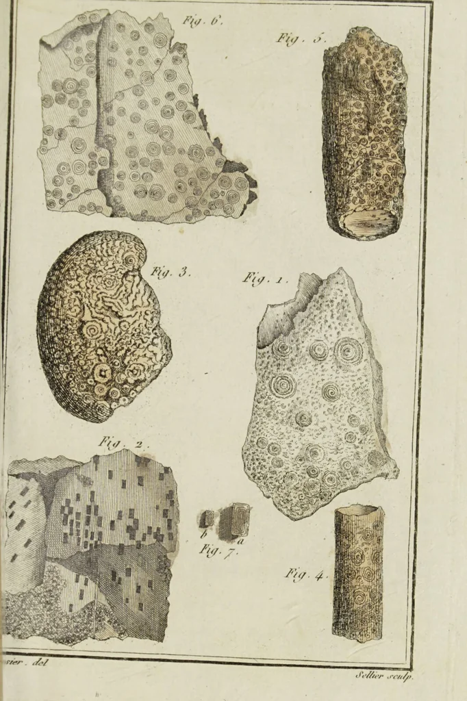 An illustration from Essais ou recueil de mémoires sur plusieurs points de minéralogie, avec la description des pièces déposées chez le Roi : la figure & l'analyse chimique de celles qui sont les plus intéressantes & la topographie de Moscow. Après un voyage fait au Nord / Par ordre du governement par M. Macquart., 1789, leaf 621