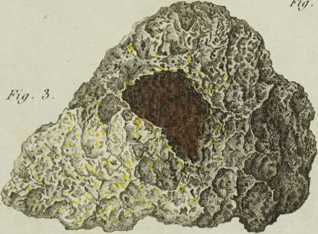 An illustration from Essais ou recueil de mémoires sur plusieurs points de minéralogie, avec la description des pièces déposées chez le Roi : la figure & l'analyse chimique de celles qui sont les plus intéressantes & la topographie de Moscow. Après un voyage fait au Nord / Par ordre du governement par M. Macquart., 1789, leaf 625