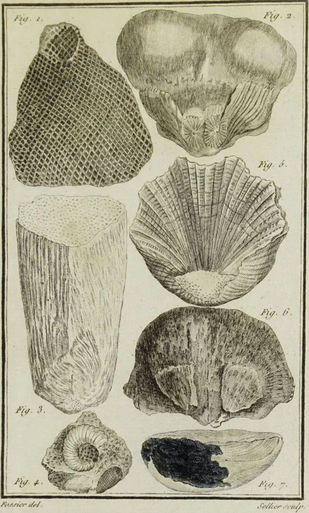 An illustration from Essais ou recueil de mémoires sur plusieurs points de minéralogie, avec la description des pièces déposées chez le Roi : la figure & l'analyse chimique de celles qui sont les plus intéressantes & la topographie de Moscow. Après un voyage fait au Nord / Par ordre du governement par M. Macquart., 1789, leaf 631