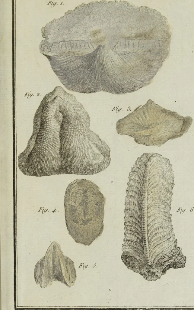 An illustration from Essais ou recueil de mémoires sur plusieurs points de minéralogie, avec la description des pièces déposées chez le Roi : la figure & l'analyse chimique de celles qui sont les plus intéressantes & la topographie de Moscow. Après un voyage fait au Nord / Par ordre du governement par M. Macquart., 1789, leaf 633