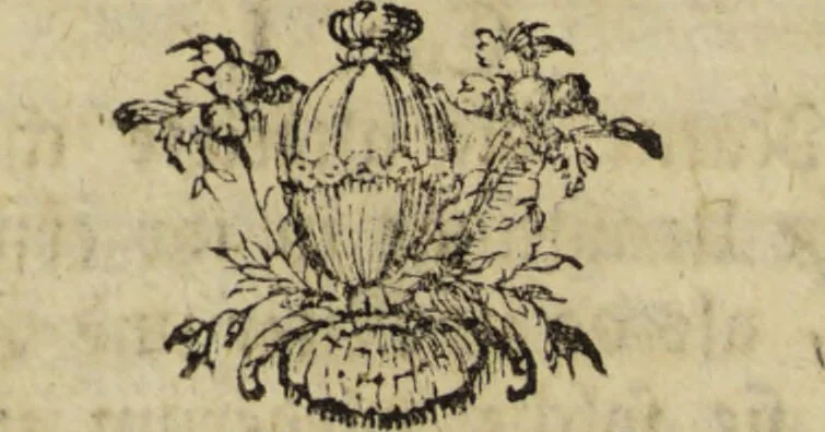 An illustration from Annulus Platonis: oder physikalisch-chymische Erklärung der Natur nach ihrer entstehung, erhaltung und zerstohrung von einer Gesellschaft ächter Naturforscher aufs neue verbessert und mit vielen wichtigen Anmerkungen hrsg., 1781, leaf 38