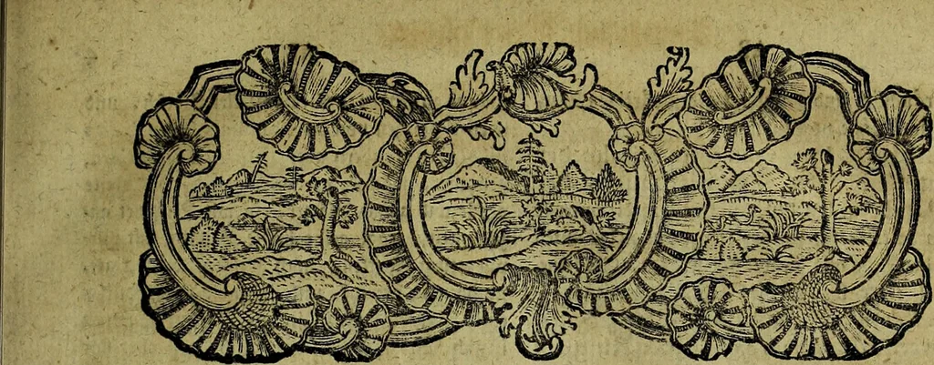 An illustration from Johann Jacob Woyts Gazophylacium medico-physicum, oder, Schatz-kammer medicinisch- und natürlicher Dinge ... / Mit Fleiss übersehen, verbessert und vermehret von Johann Ernst Hebenstreit., 1784, leaf 17