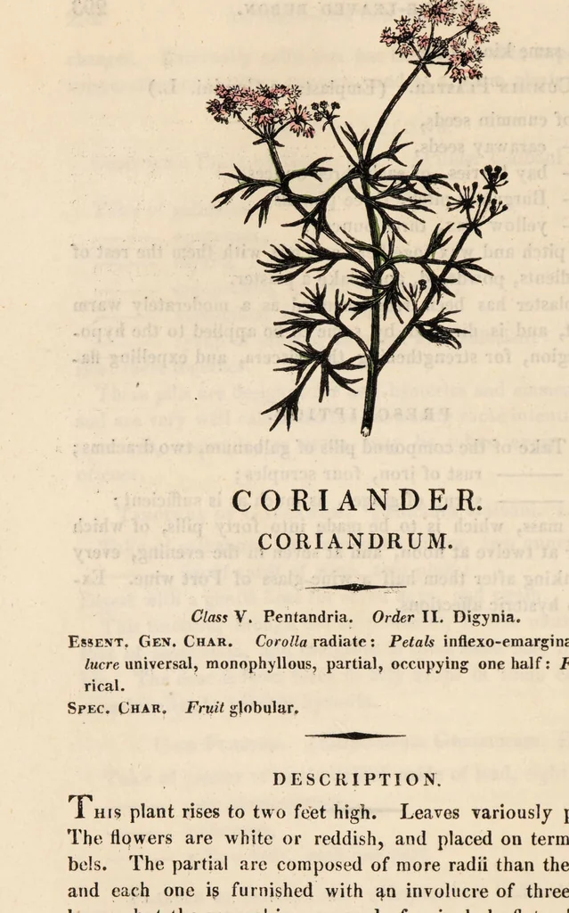 An illustration from A family herbal: or, Familiar account of the medical properties of British and foreign plants, also their uses in dying, and the various arts, arranged according to the Linnaean system / [Robert John Thornton]., 1814, leaf 326