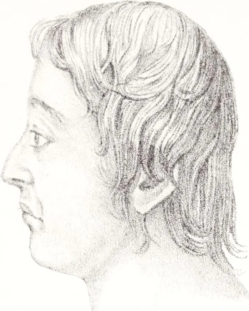 An illustration from Phrenology, or the doctrine of the mind : and of the relations between its manifestations and the body., 1825, leaf 325