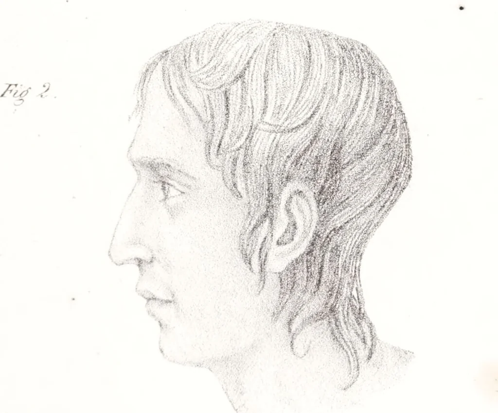 An illustration from Phrenology, or the doctrine of the mind : and of the relations between its manifestations and the body., 1825, leaf 325
