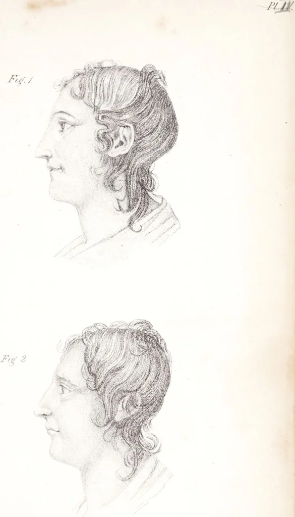 An illustration from Phrenology, or the doctrine of the mind : and of the relations between its manifestations and the body., 1825, leaf 327