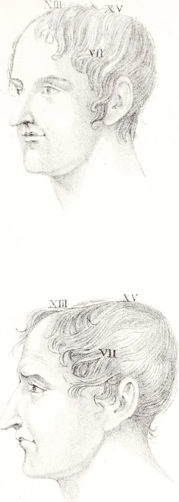 An illustration from Phrenology, or the doctrine of the mind : and of the relations between its manifestations and the body., 1825, leaf 331