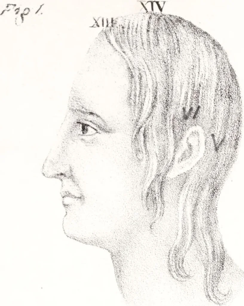 An illustration from Phrenology, or the doctrine of the mind : and of the relations between its manifestations and the body., 1825, leaf 335