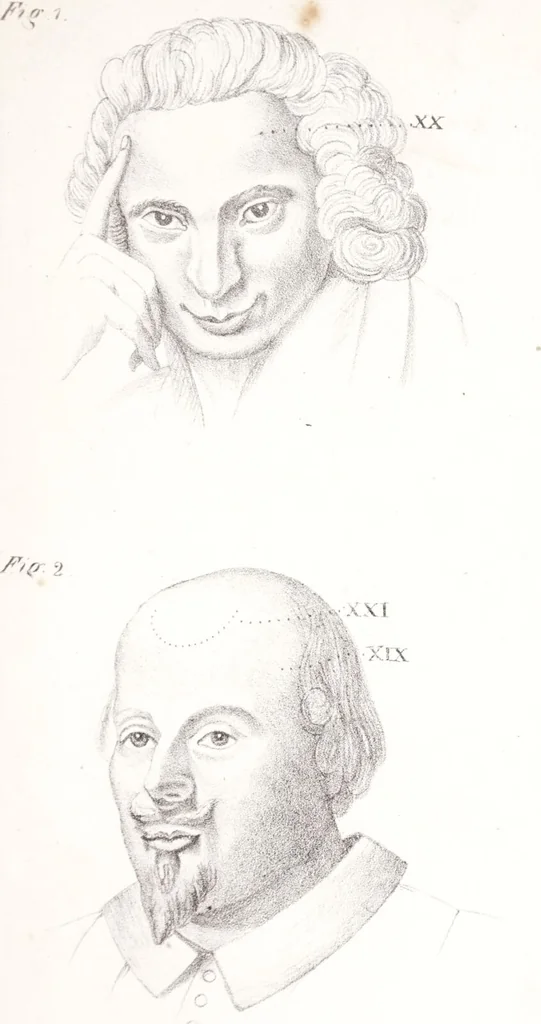 An illustration from Phrenology, or the doctrine of the mind : and of the relations between its manifestations and the body., 1825, leaf 337