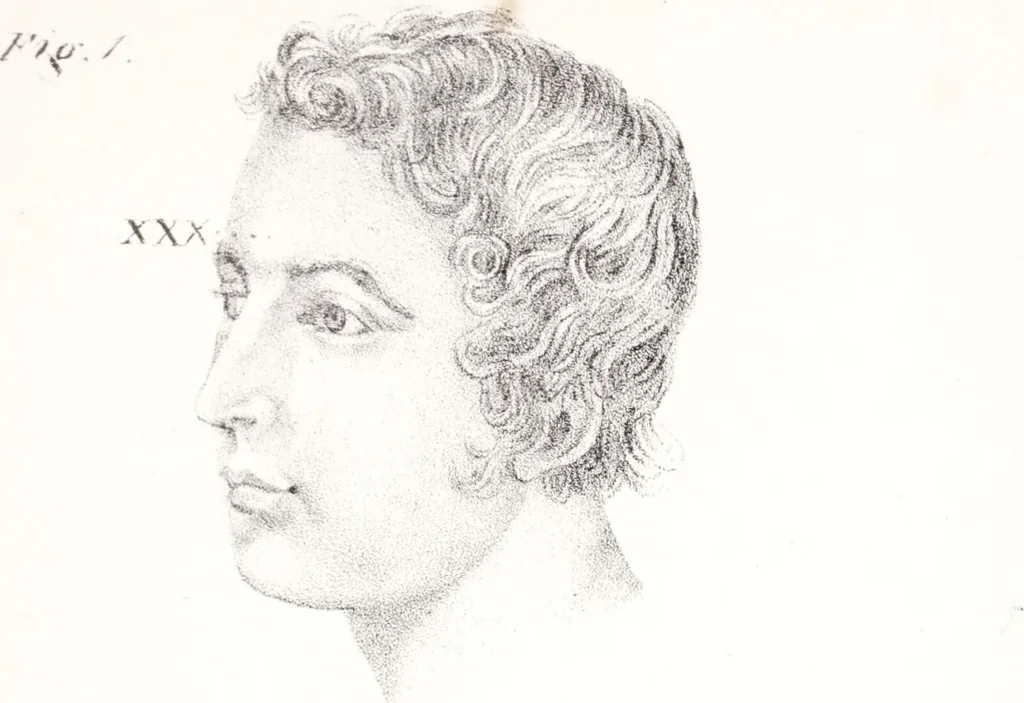 An illustration from Phrenology, or the doctrine of the mind : and of the relations between its manifestations and the body., 1825, leaf 339