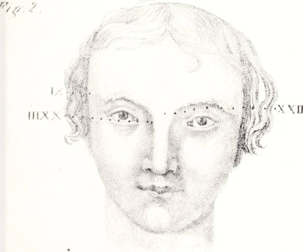 An illustration from Phrenology, or the doctrine of the mind : and of the relations between its manifestations and the body., 1825, leaf 339