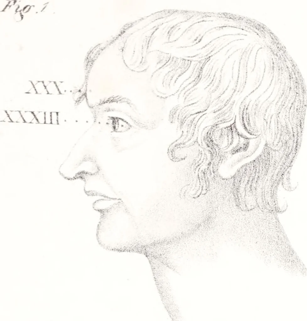 An illustration from Phrenology, or the doctrine of the mind : and of the relations between its manifestations and the body., 1825, leaf 345