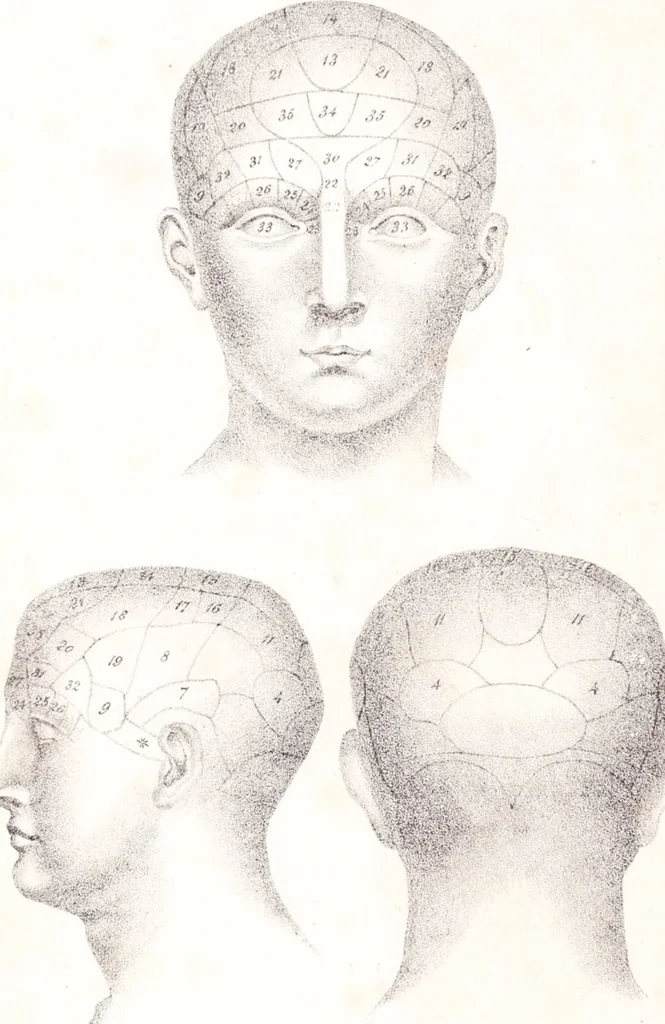 An illustration from Phrenology, or the doctrine of the mind : and of the relations between its manifestations and the body., 1825, leaf 8