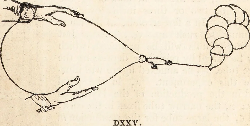 An illustration from One thousand processes in manufactures and experiments in chemistry / [Colin Mackenzie]., 1825, leaf 395