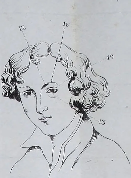 An illustration from Esposición sumaria del sistema frenológico del doctor Gall / [José Ramón Pacheco]., 1835, leaf 273